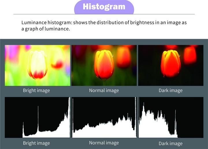 M703H Histogram